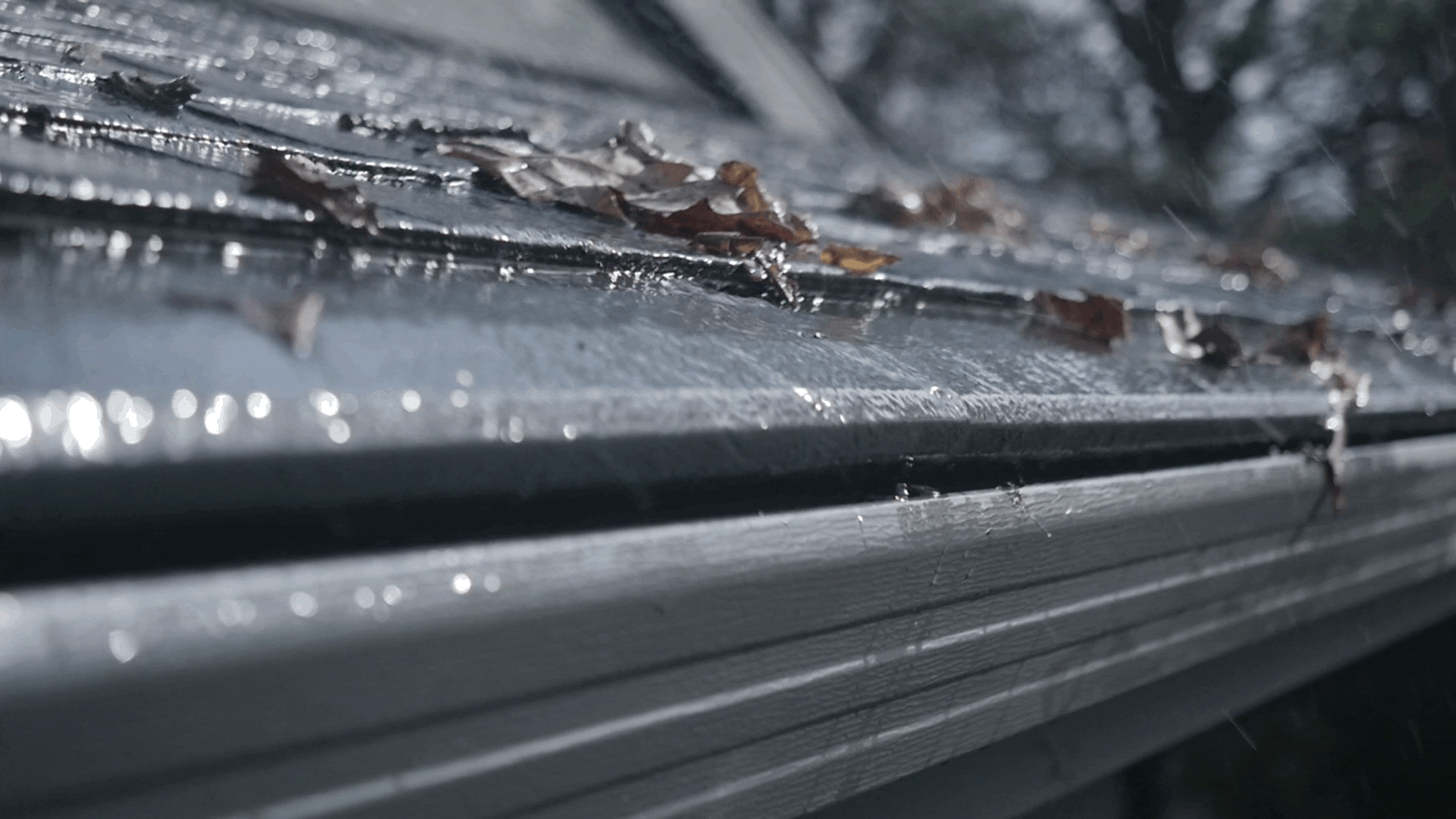 GH-Demo-Slow-Motion-Rain-04_GIF